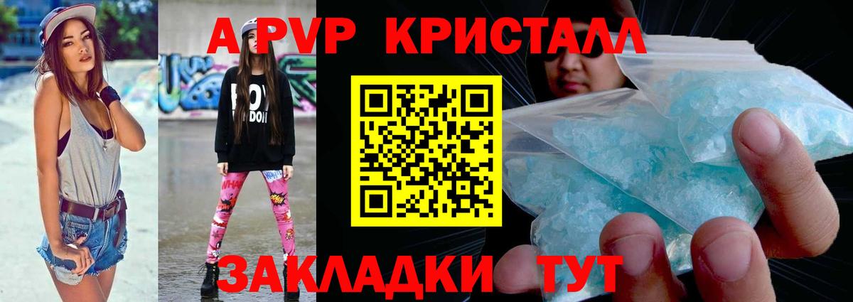 A-PVP СК КРИС Заводоуковск