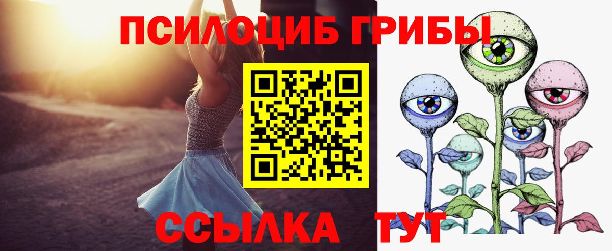 Псилоцибиновые грибы ЛСД Заводоуковск
