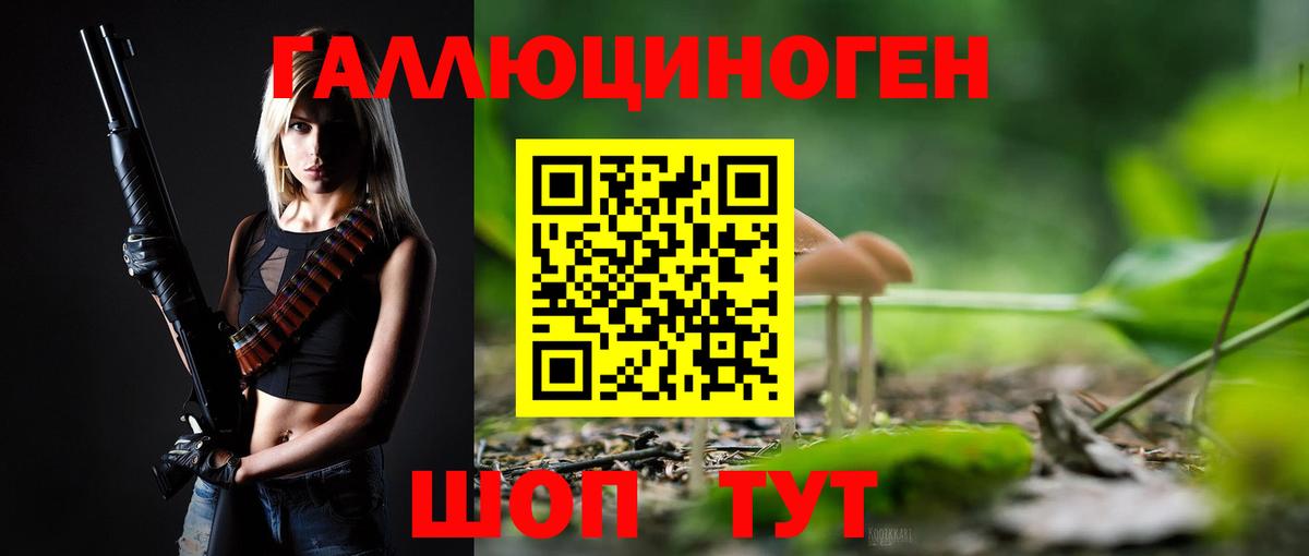 купить   Галлюциногенные грибы MAGIC MUSHROOMS  Вход с VPN  Заводоуковск 